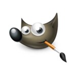 Gimp